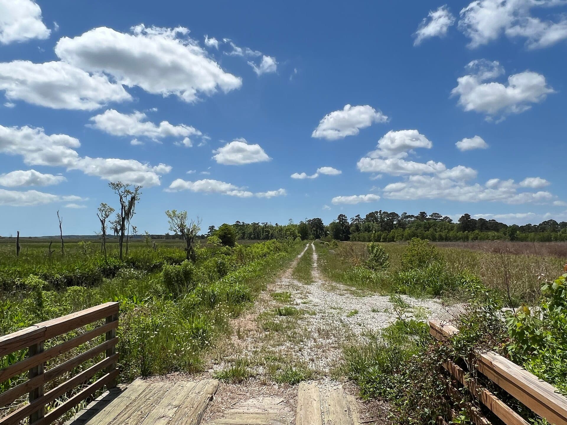 A trail leads into marshland at the Ernest F. Hollings ACE Basin National Wildlife Refuge in April 2022. The photo's location data places it in Charleston County, not in the Colleton County area covered by the settlement.