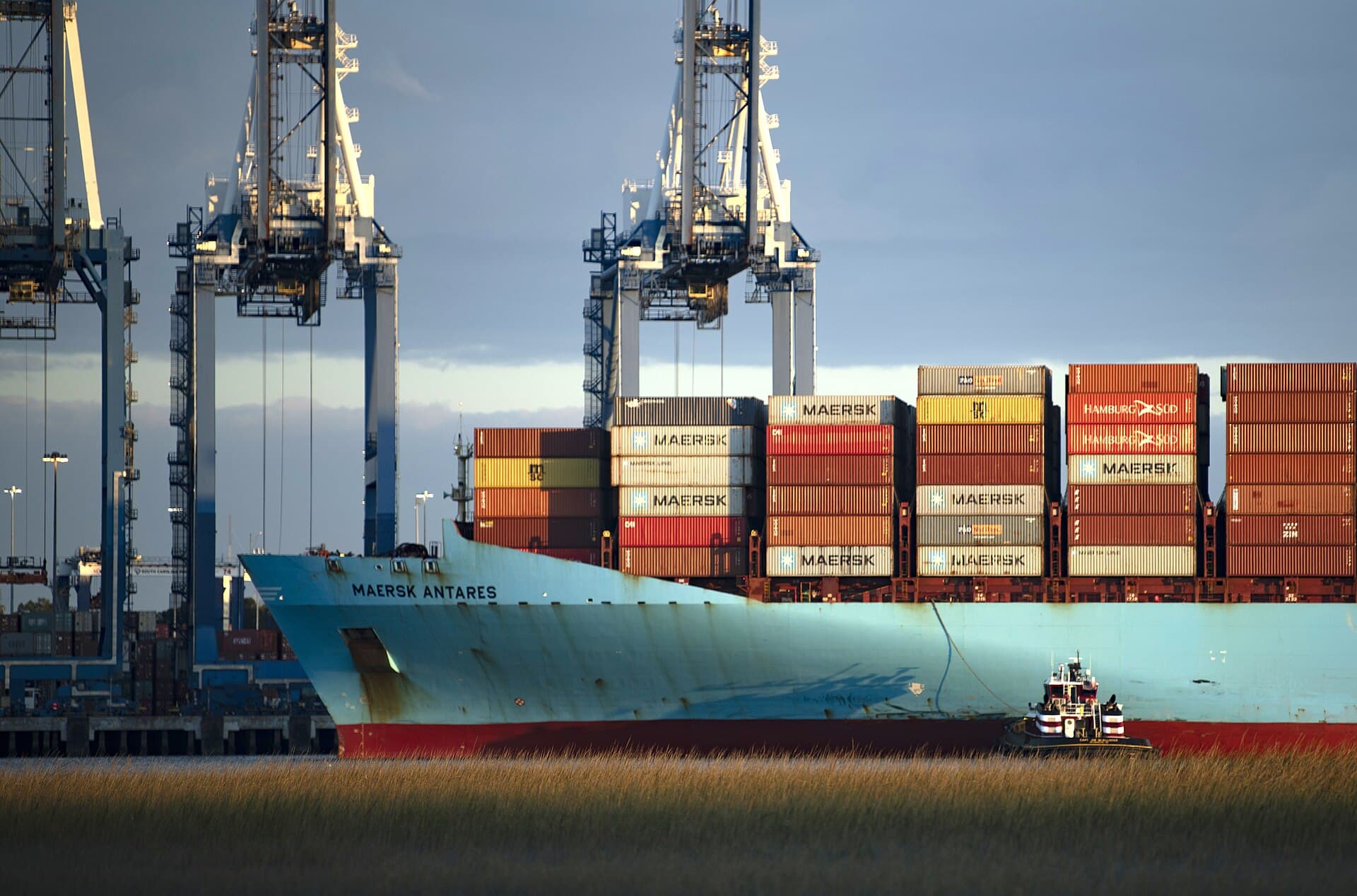 A container ship docks at the Port of Charleston's Wando Welch Terminal in Mount Pleasant in November 2020. Translucent Solar expects about 200 containers of factory equipment to come through the port this fall.